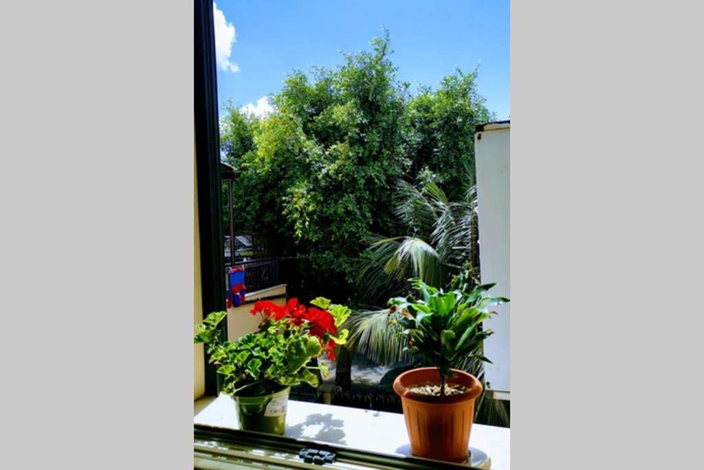 Apartmán La Casetta Di Giuli Palermo Exteriér fotografie